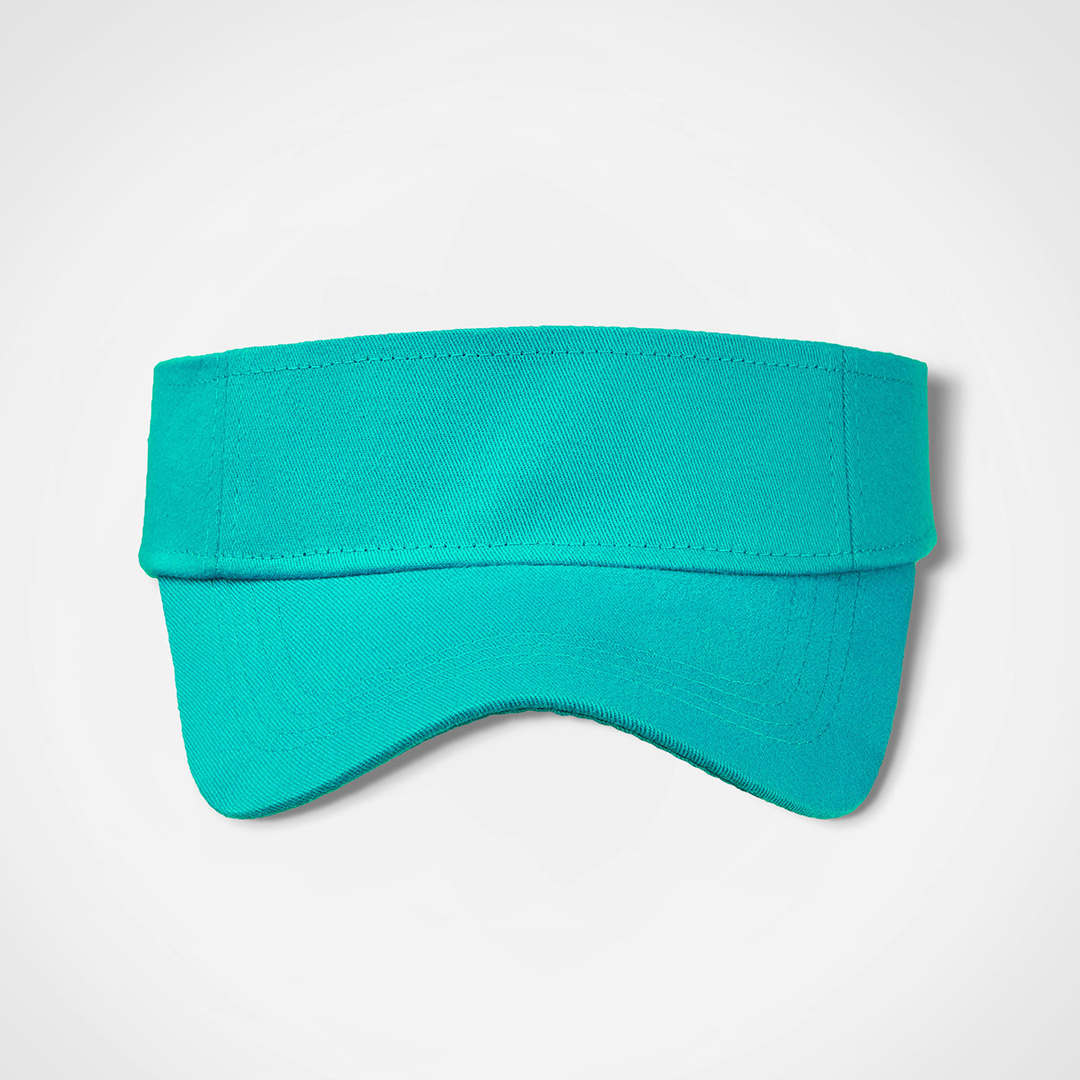Sunvisor
