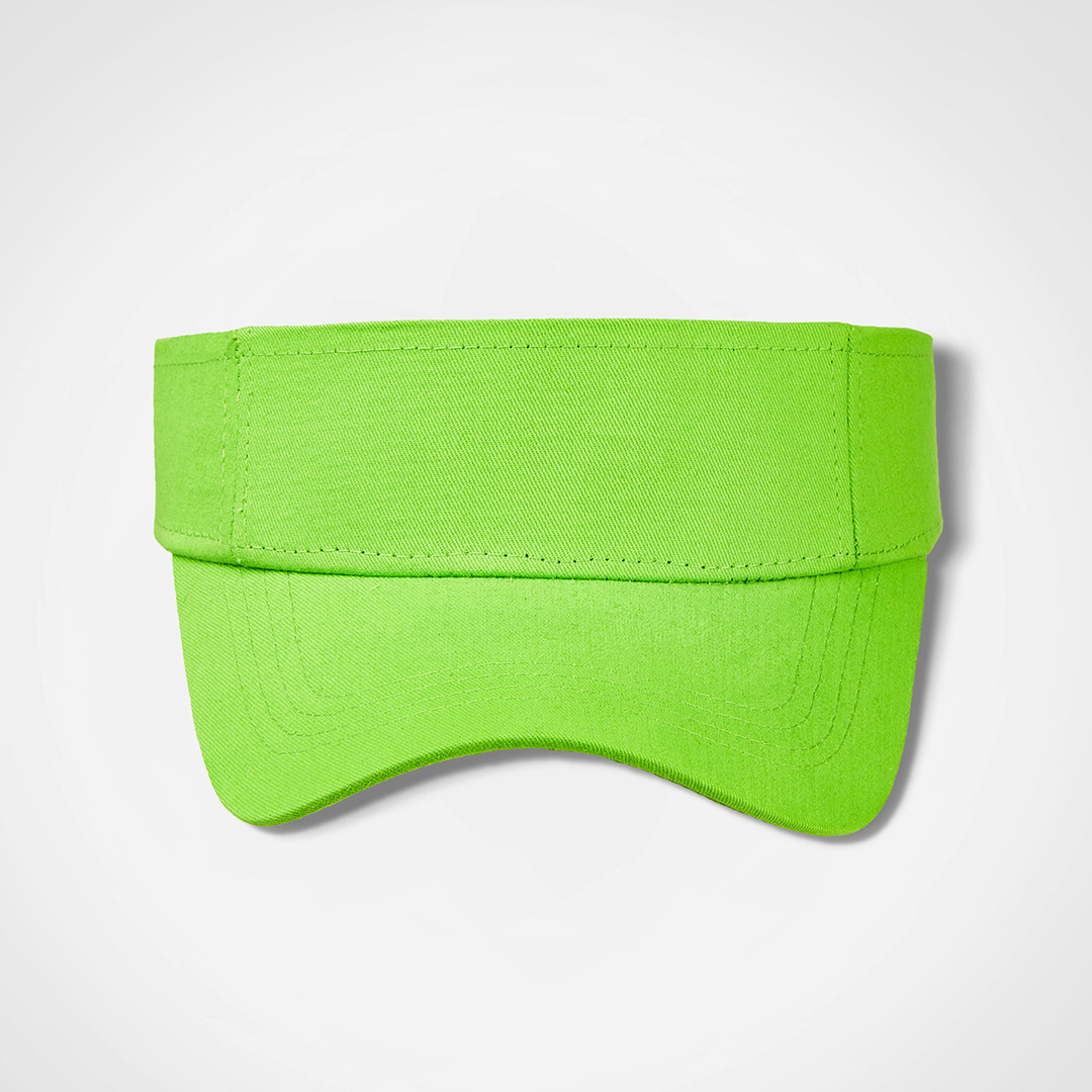 Sunvisor