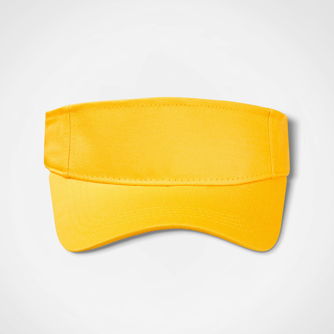 Sunvisor