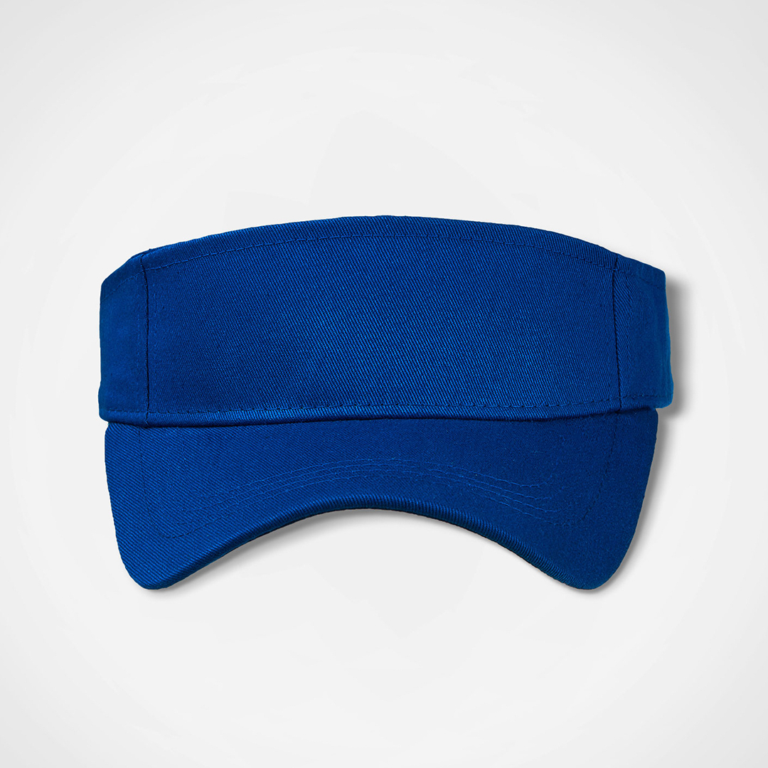 Sunvisor